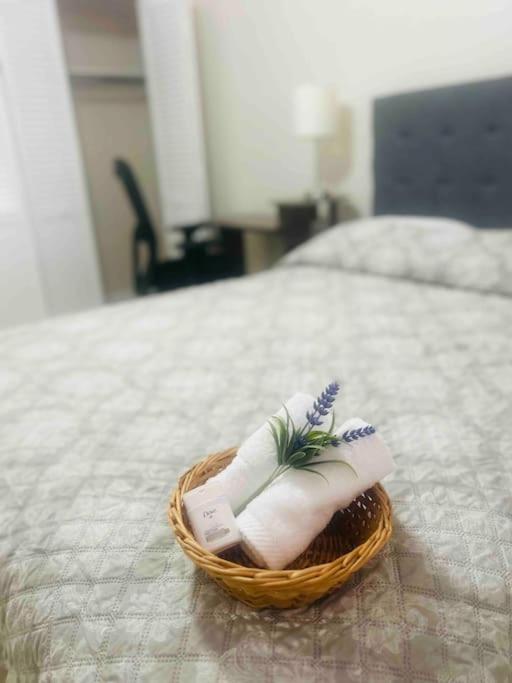 タンパ Vintage Family Scape + Heated Pool&Discountヴィラ エクステリア 写真