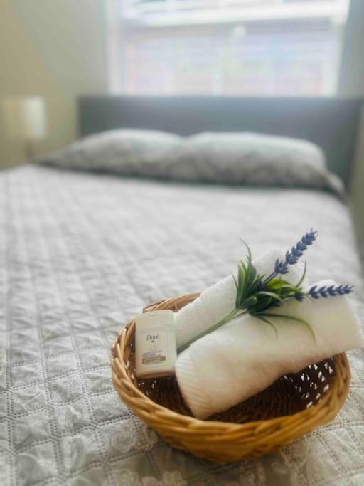 タンパ Vintage Family Scape + Heated Pool&Discountヴィラ エクステリア 写真